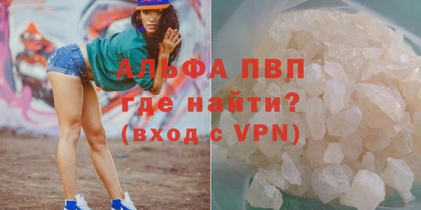 дмт Новодвинск