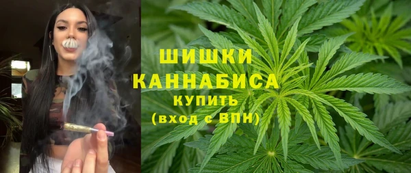 амф Новозыбков
