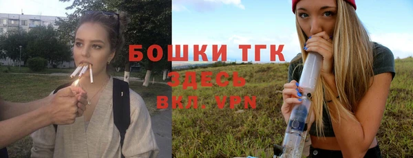 амф Новозыбков