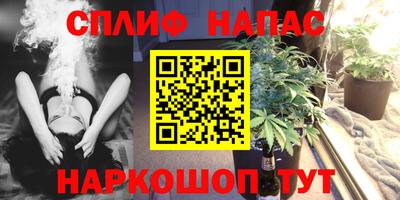 индика Гай