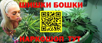 индика Гай