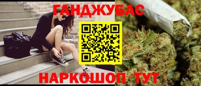 индика Гай