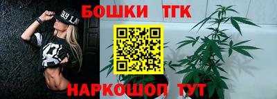 индика Гай