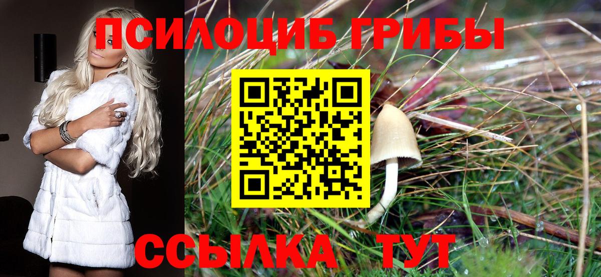 Галлюциногенные грибы Cubensis  Вход с VPN  Чебоксары 