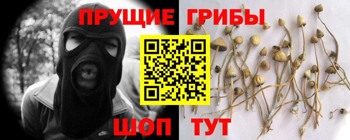 Галлюциногенные грибы мухоморы Чебоксары